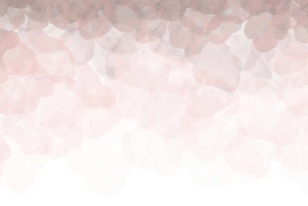 Petal Power Wallpaper