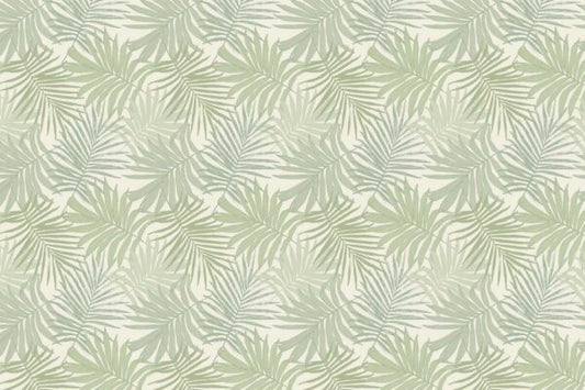 Tropical Path Wallpaper