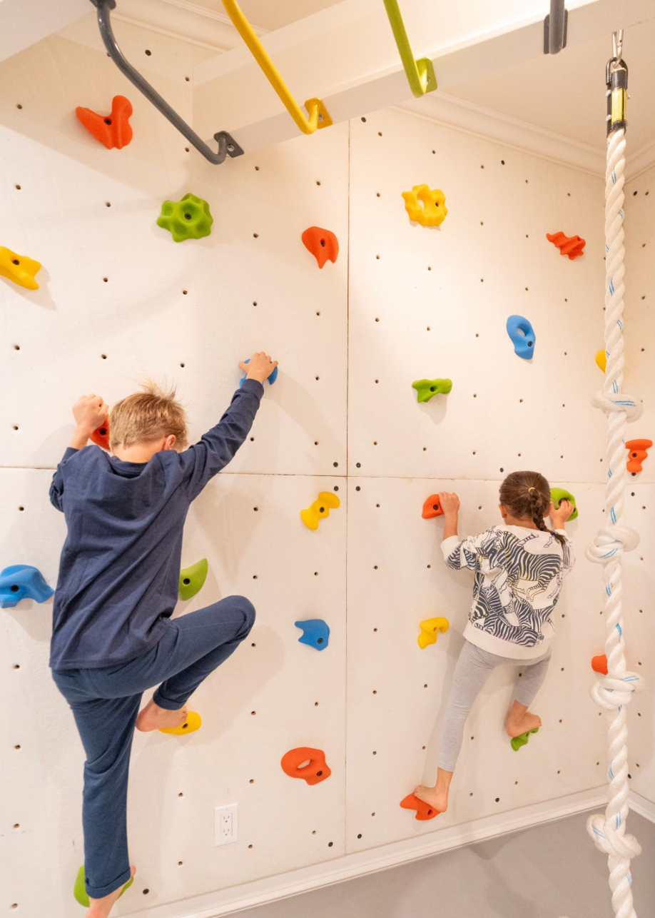 Exclusive Designer Chunky Monkey Rock Wall Holds | Choose One Color | Choose  Bolt On or Screw On