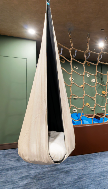 Exclusive SP Reversible Hanging Cocoon Seat/Swing