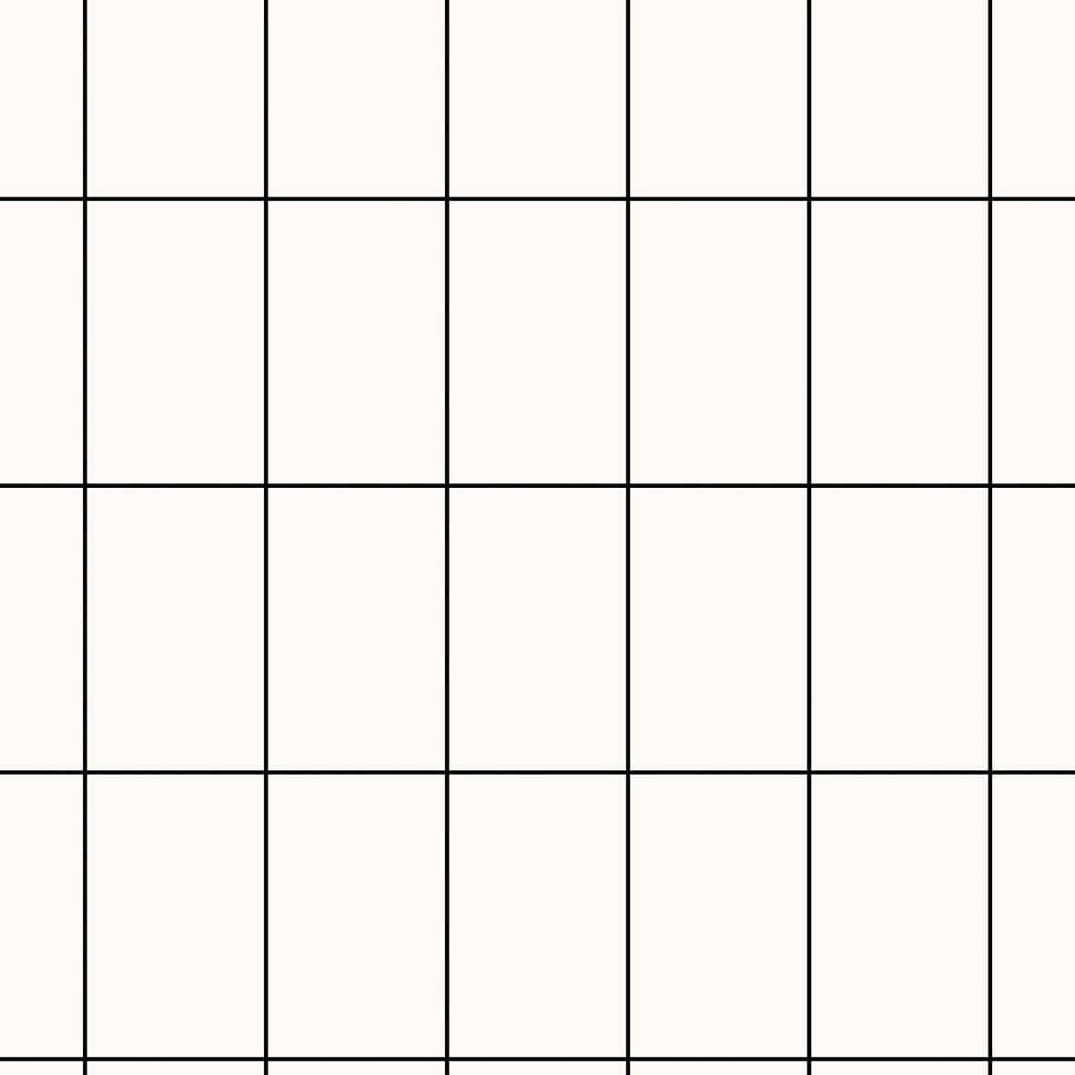 MOOUI black grid wallpaper featuring a modern and minimalist design for stylish interiors