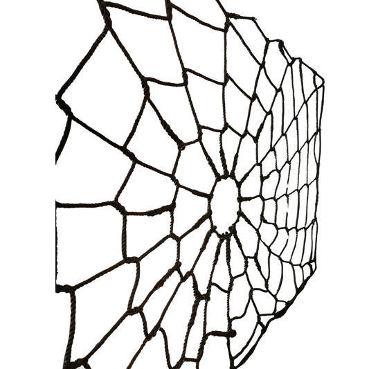Spider Web Net - Smart Playrooms